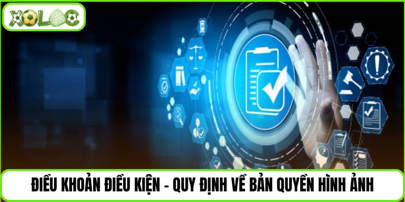 Điều khoản điều kiện - Quy định về bản quyền hình ảnh