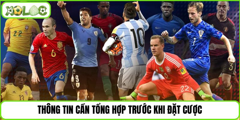 Thông tin cần tổng hợp trước khi đặt cược