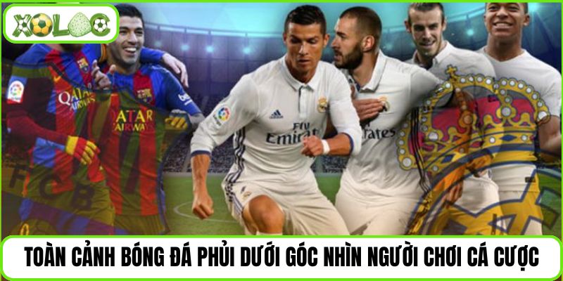 Toàn cảnh bóng đá phía dưới góc nhìn người chơi đánh bạc