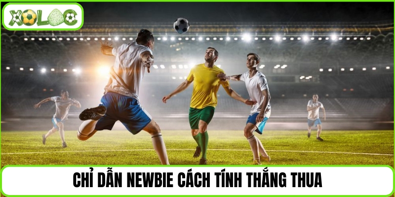 Chỉ dẫn newbie cách tính thắng thua