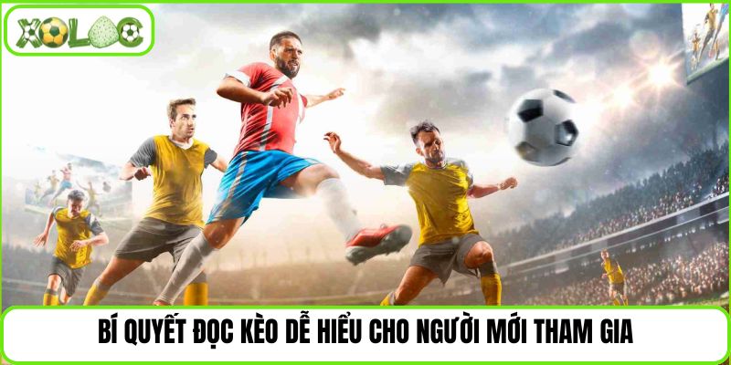  Bí quyết đọc kèo dễ hiểu cho người mới tham gia